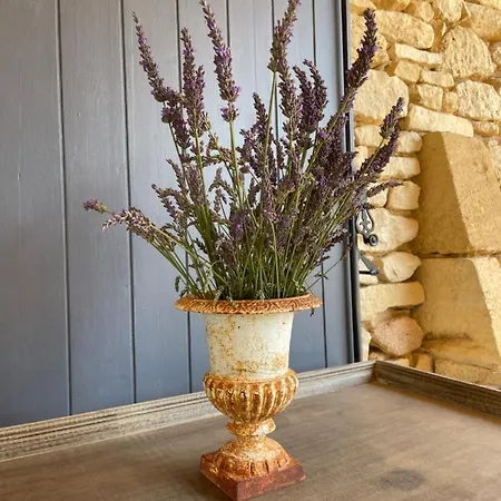 דירה Le Bos Dordogne
