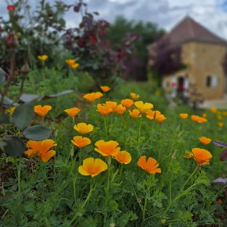 Апартаменты Le Bos Dordogne