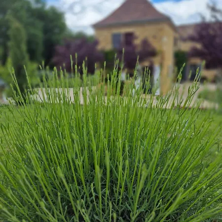 דירה Le Bos Dordogne *