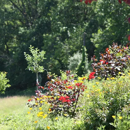 Le Bos Dordogne *