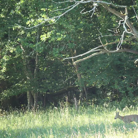 Le Bos Dordogne